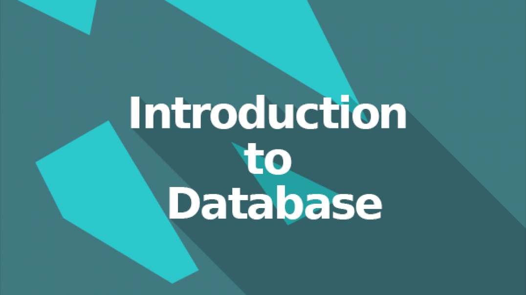 ⁣Flutter Introduction to Database